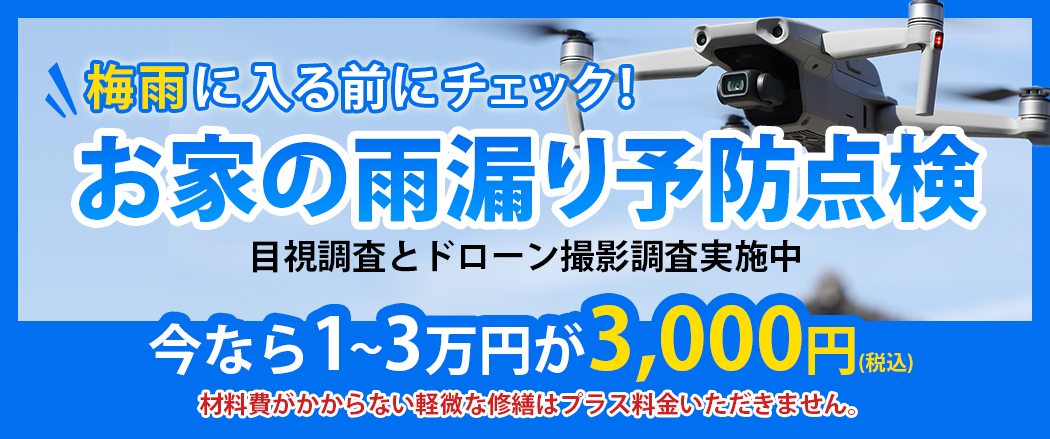 点検